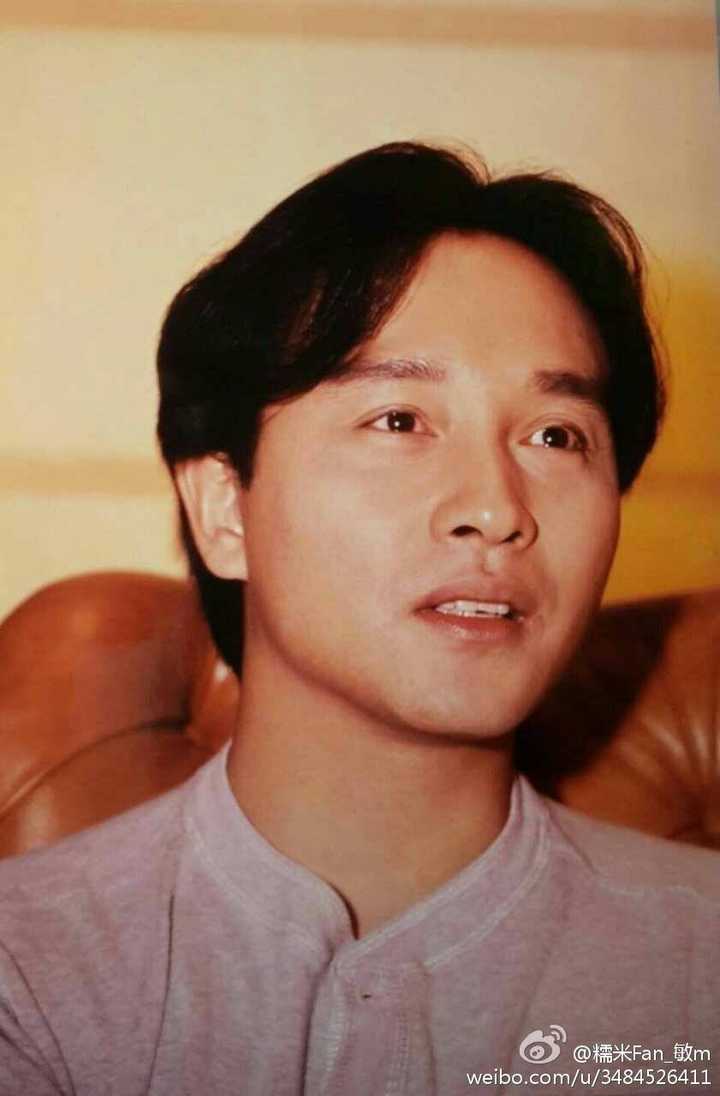 张国荣的长相真的太柔和太标志了,一个典型的中国南方人(或者说广东人