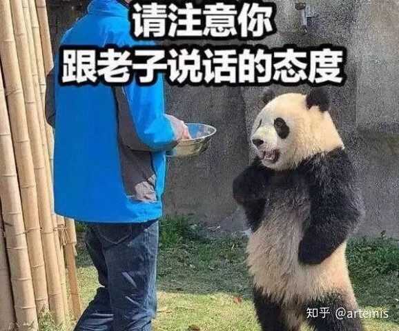 有没有"脱帽致敬"的沙雕表情包?