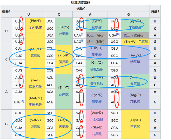 a→t相比其他是最简单的,转换比颠换概率高(密码子的简并性天然