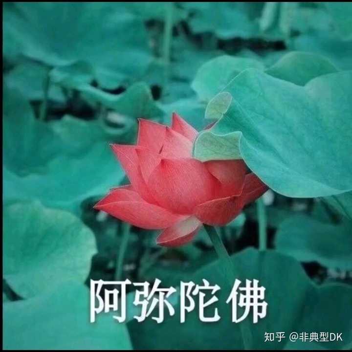 新增几张,分享一下 妈妈辈的最喜欢的元素:莲花!