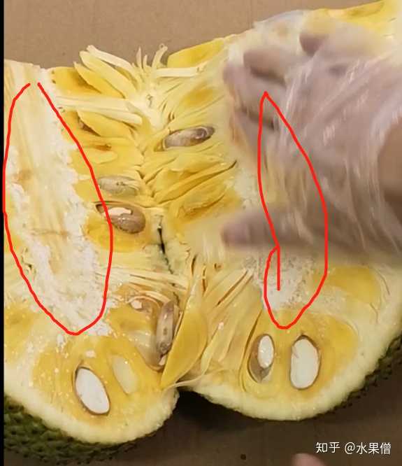 网购菠萝蜜等热带水果靠谱吗?