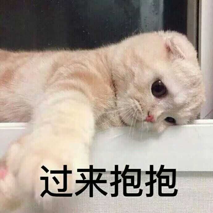 有没有撩人的表情包?