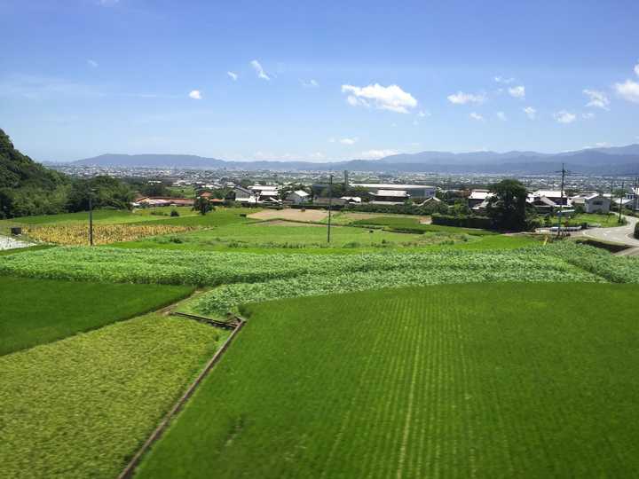 绿油油的田野,日本不管是山还是田,植物都种的满满的,所以颜色看上去