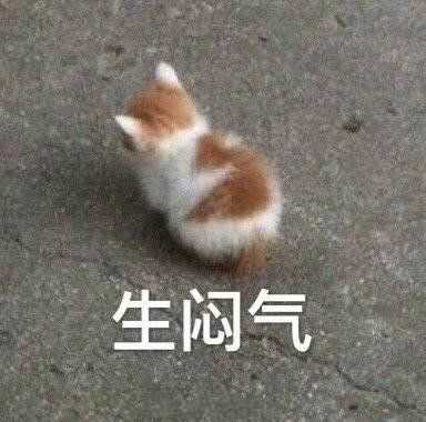 有没有撩人的表情包?