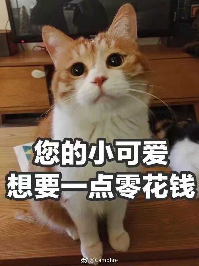 有什么适合在要钱时候用的表情包?