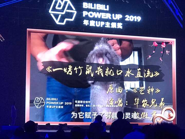 如何评价 2019 年 b 站百大 up 主晚会?