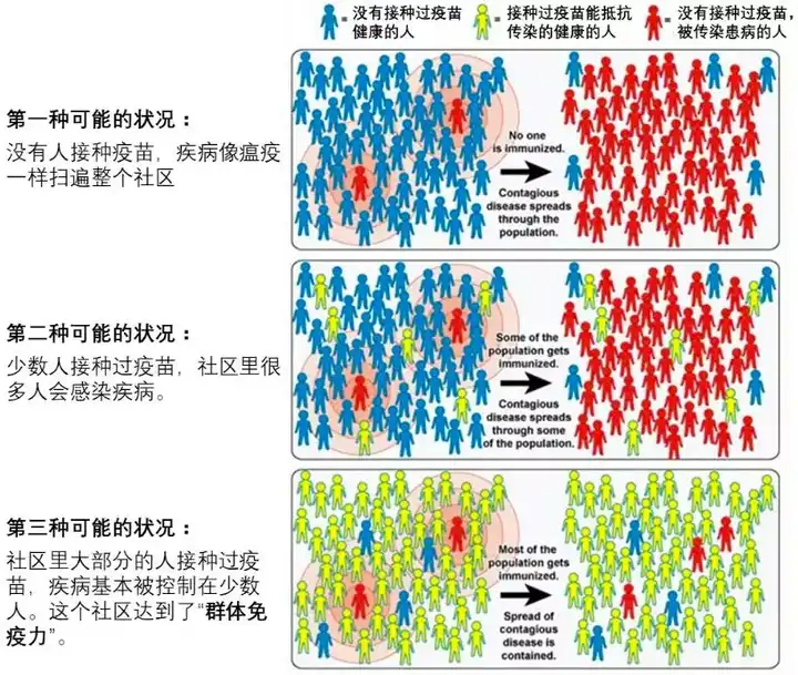 群体免疫力是整个社区接种疫苗率高的结果.
