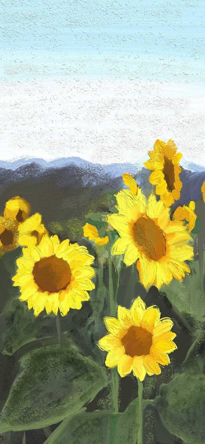 有没有好看的鲜花全面屏无水印壁纸?