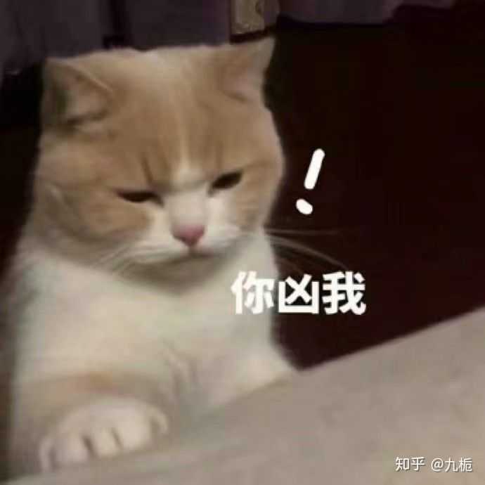 为什么一个男生总是爱发小猫的表情包?