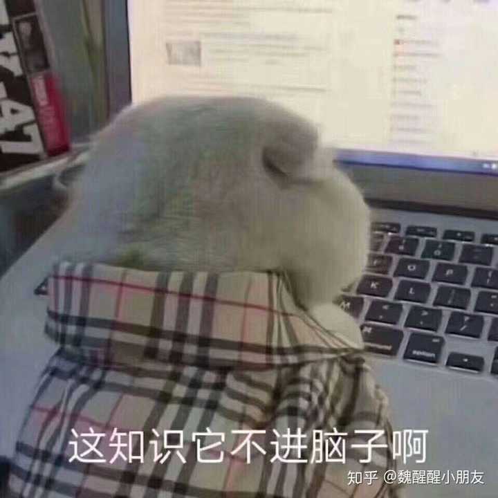 大学生如何增强自己的知识储备