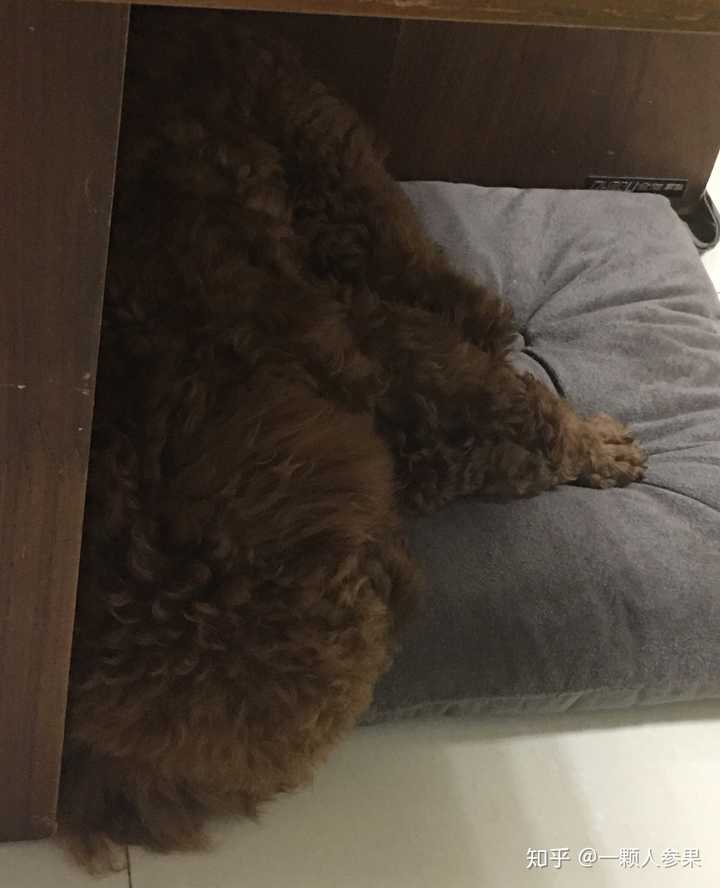 睡觉时候把两只脚脚叠在一起睡