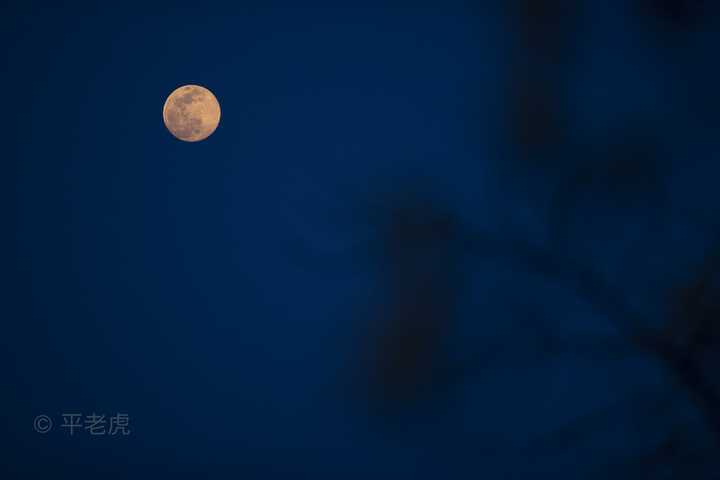 4月8日凌晨"超级粉红月亮"将现身天穹,中国境内可观测