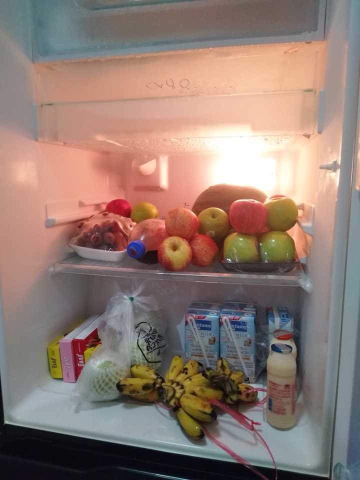 冰箱都被塞满了