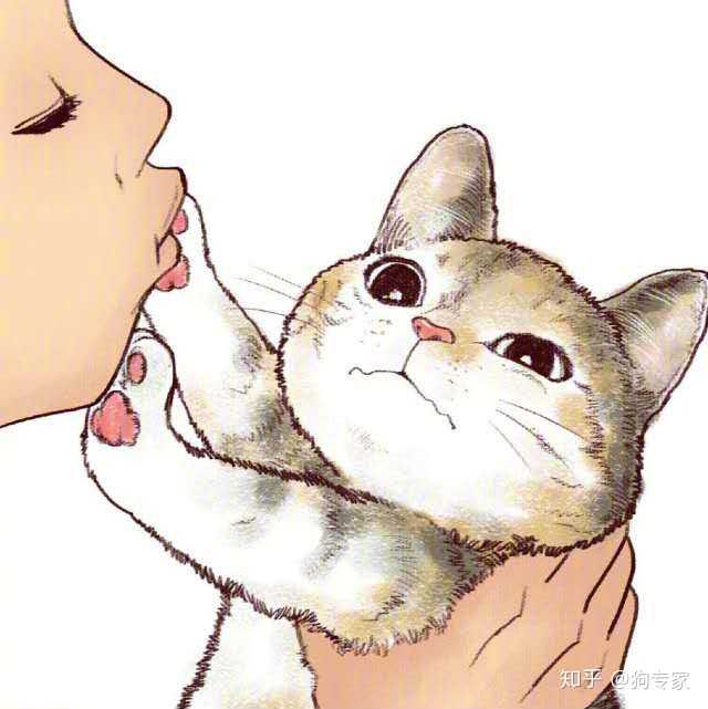 有哪些好看的猫咪壁纸或头像?