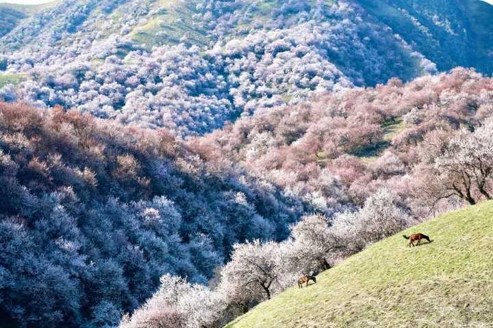 三月份最适合去哪旅游?
