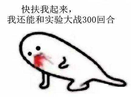 有没有什么科研狗的专属表情包?