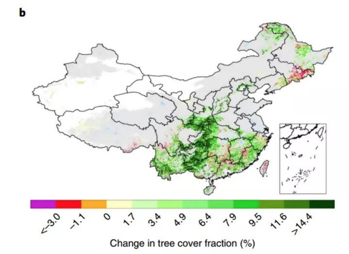 森林覆盖率变化(绿色增加,红,粉色降低)--图源(chen et al. 2019)