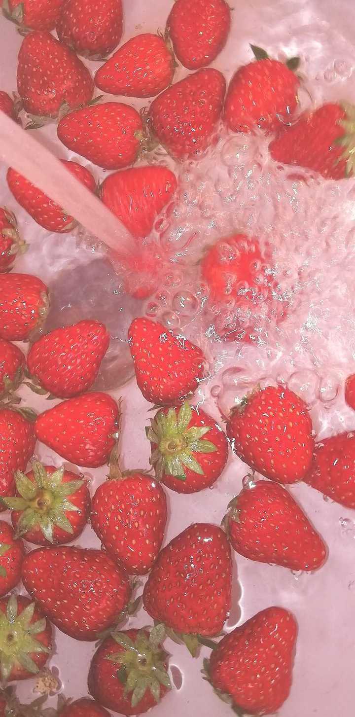 大家有没有比较好看的草莓的壁纸呀?