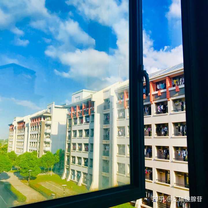 在上海海洋大学就读是怎样一番体验?