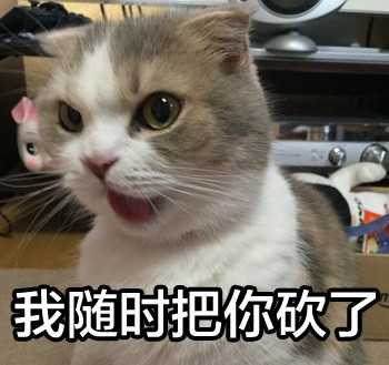 请问有没有猫咪的表情包?