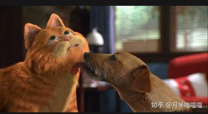 这是加菲和欧弟