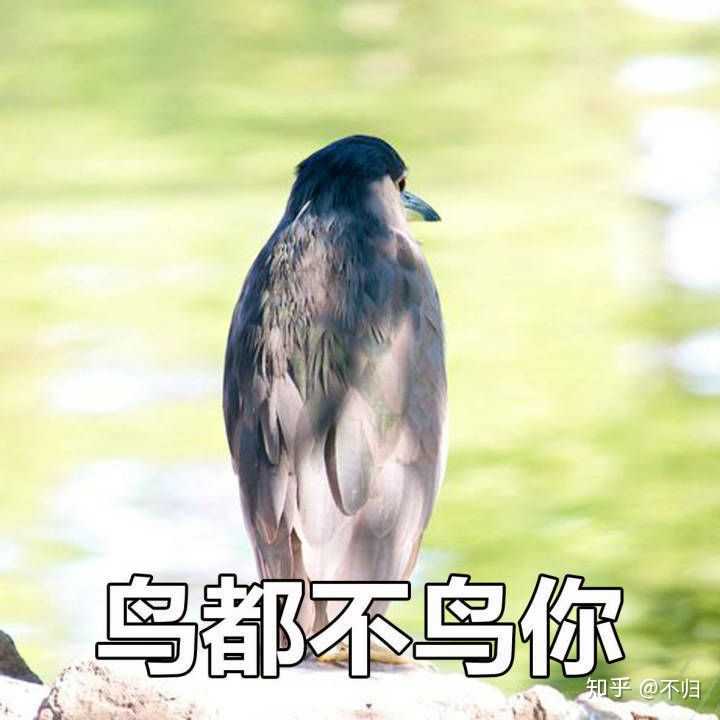 一个无聊的人,在走走停停 1 人赞同了该回答 发布于 11:31 1 1 条