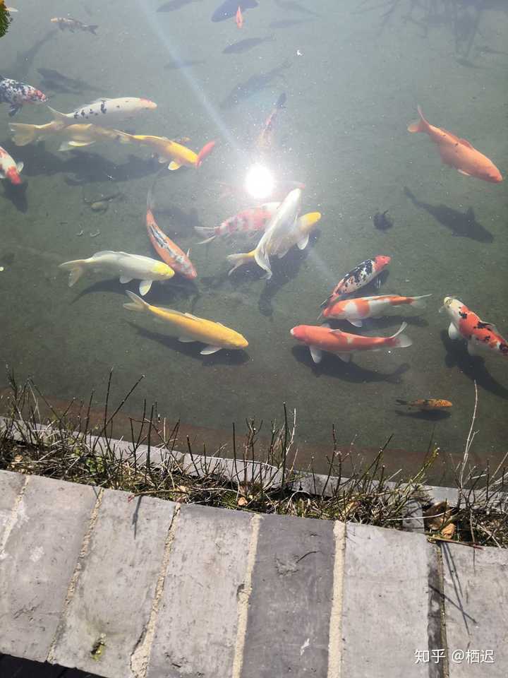 有哪些适合全面屏手机的壁纸?