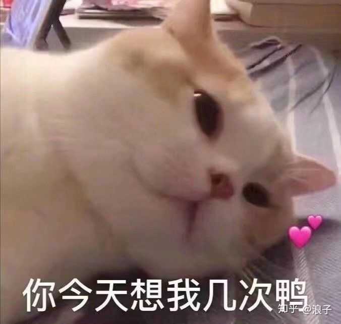 你平常聊天会用哪些「脸红」的表情包?