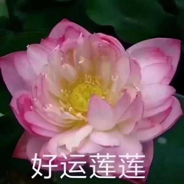 有没有什么好运的头像 要好运的 幸运的 如意的那种?