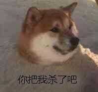 是你们的温暖支撑着我熬过这个巨冷的冬天 分类好难,我瞎发一些好了