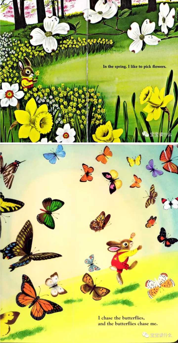 词汇: spring 春天 flower 花 butterfl