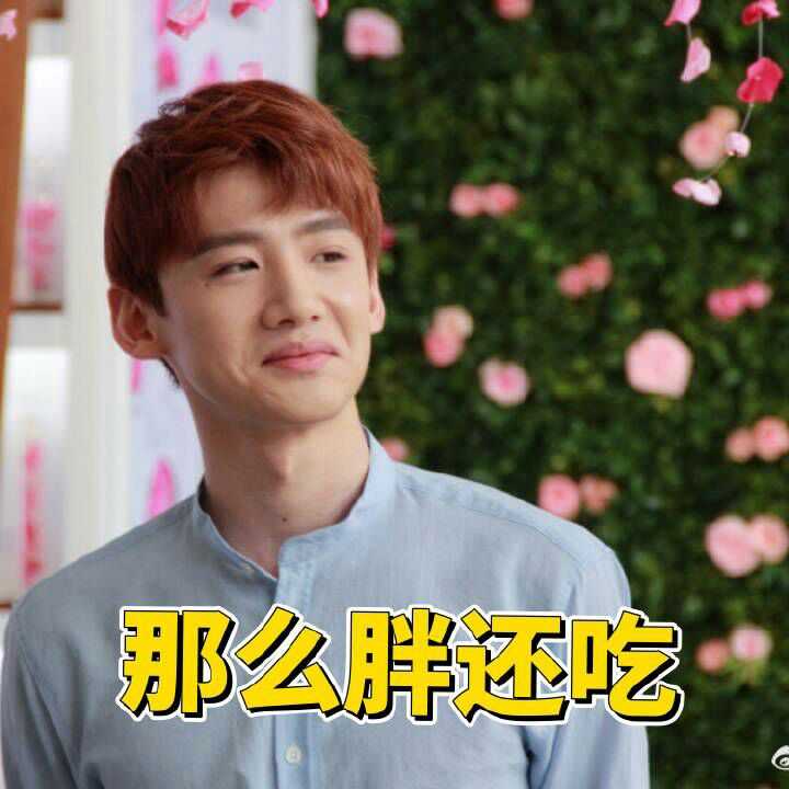 有没有珍藏的白敬亭表情包?