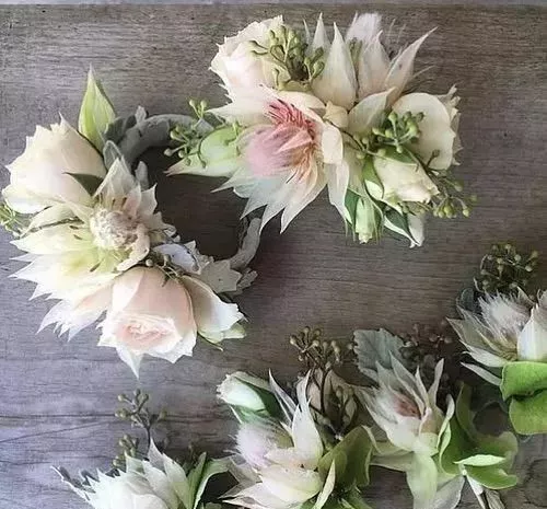 新娘花的花语是爱与自由,这怕是我见过和花朵本身最贴切的花语了.