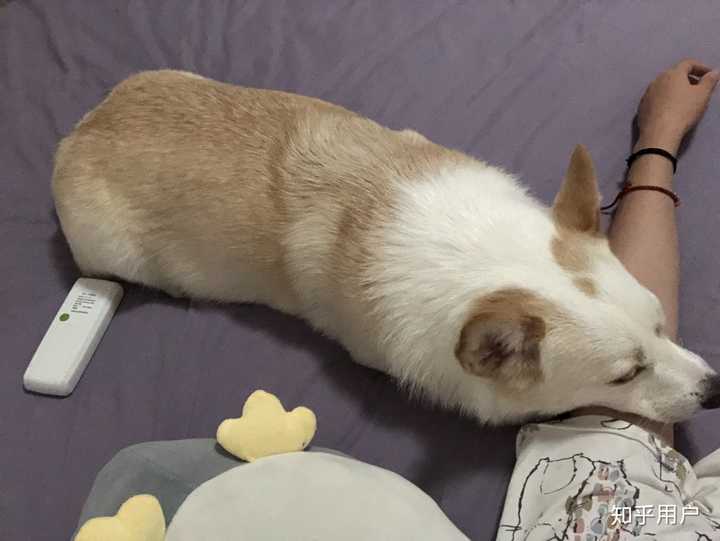 可爱宝宝睡觉觉,确实不瘦
