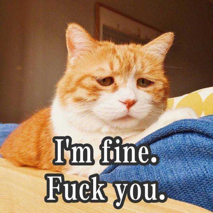 你的微信头像会被爸妈嫌弃吗? - 知乎