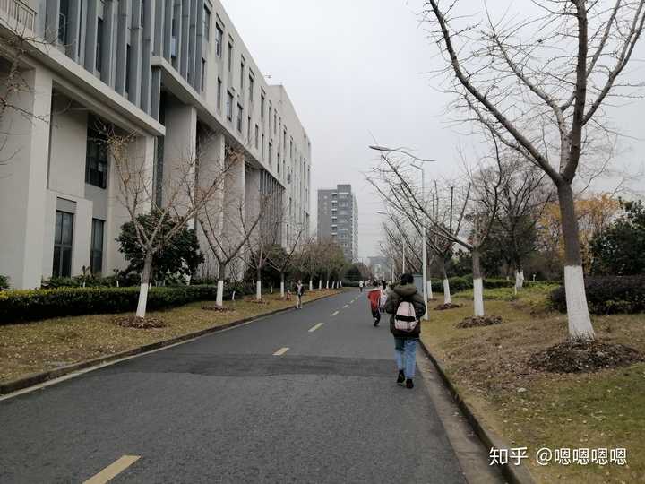 上海立信会计金融学院的校园环境如何?