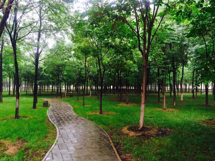 你还能找到你大学学校的照片分享一下吗?