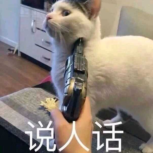 你有什么清奇有趣的表情包?