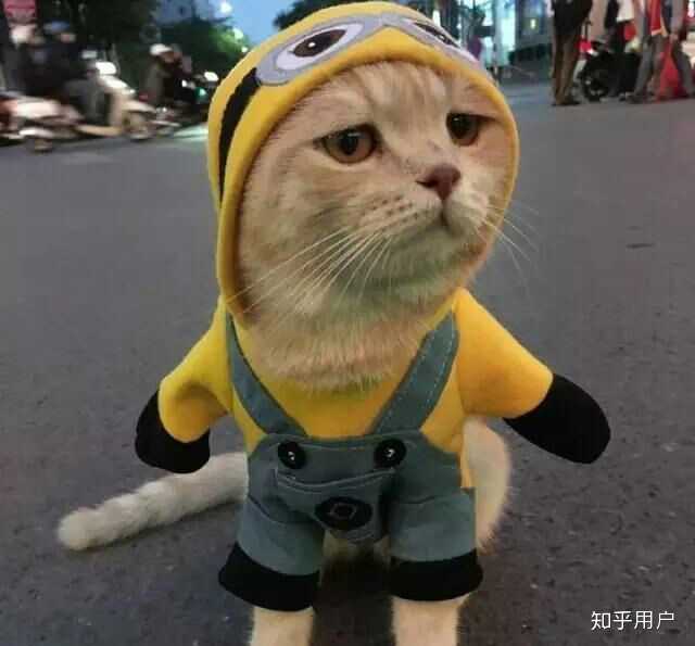 我就看看不说话.