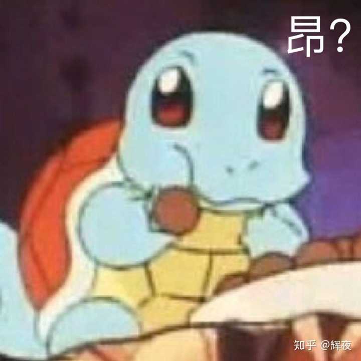谁有史上最全的王八表情包?