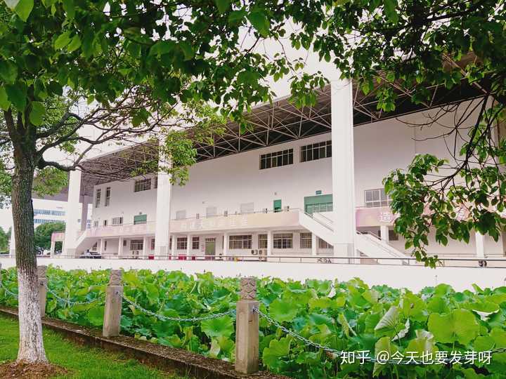 江西中医药大学湾里校区实验楼https://www.zhihu.