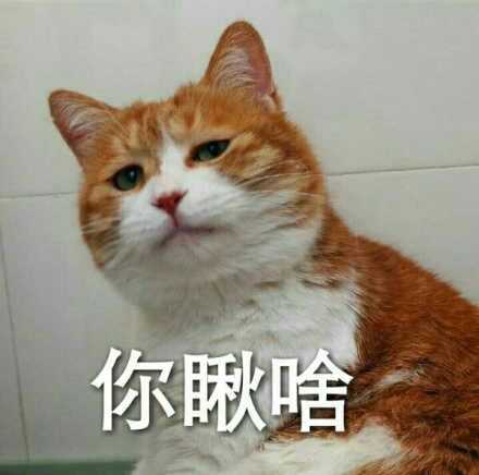 一只很忧伤的猫,被做成表情包了,它叫什么("i`m fine