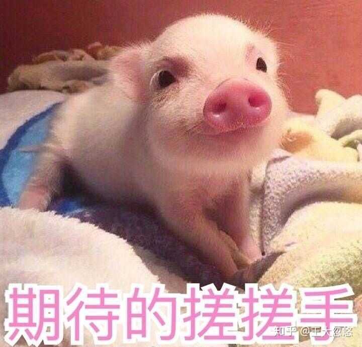 你有哪些萌萌的小孩的表情包?