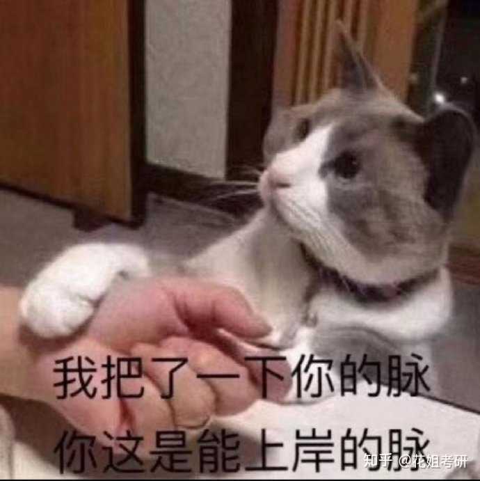 最后希望大家都能够成功上岸,努力的人不会被辜负的!