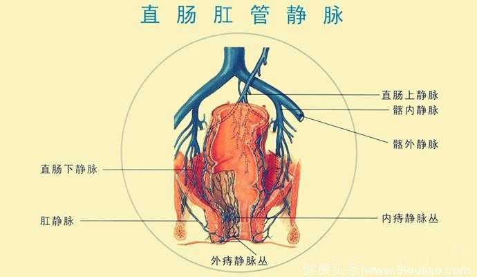 促进静脉回流,对于缓解痔疮至少可以起到三个方面的作用,第一个是