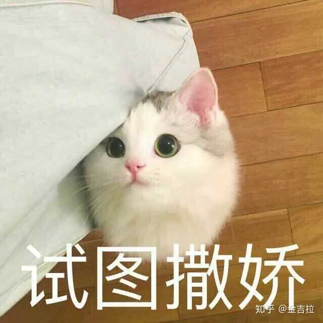 有没有给女朋友认错的表情包?