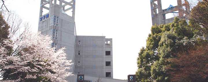 日本有哪些出名的美术大学