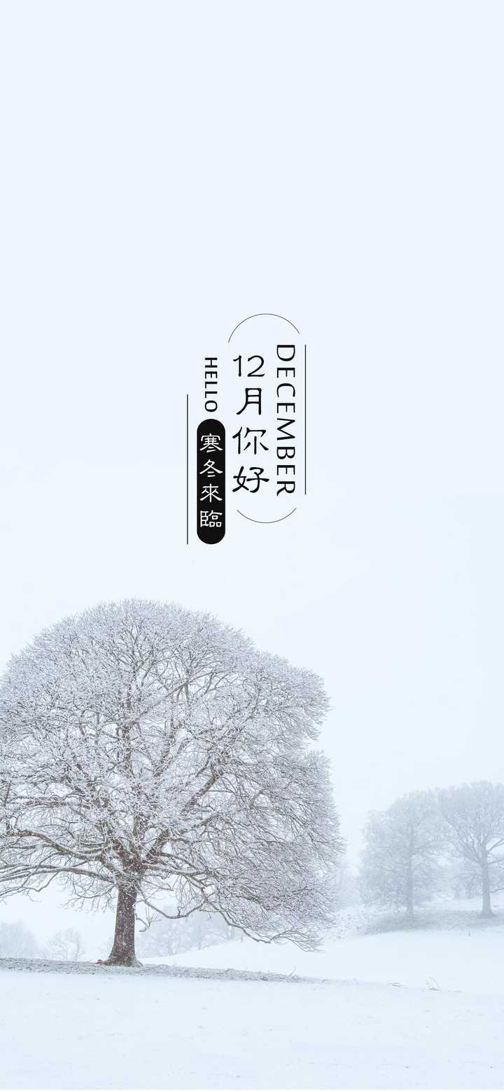 有哪些一眼就能让人平静下来的壁纸?