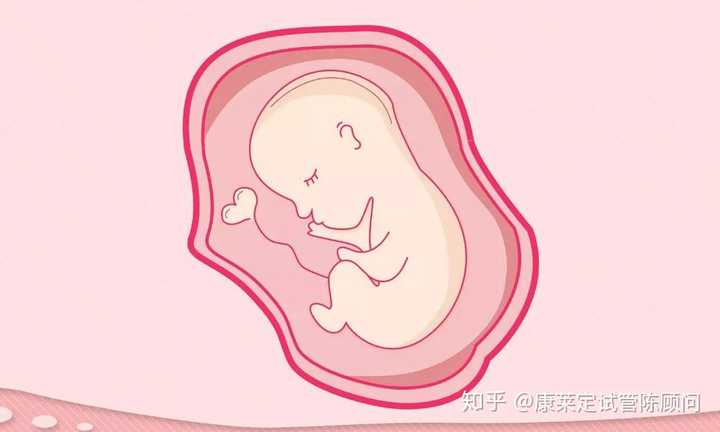 想备孕生宝宝,夫妻双方要从饮食和日常生活方面做起