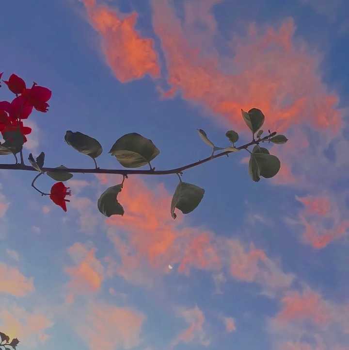 来一波好看的风景头像?